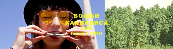соль ск Бородино