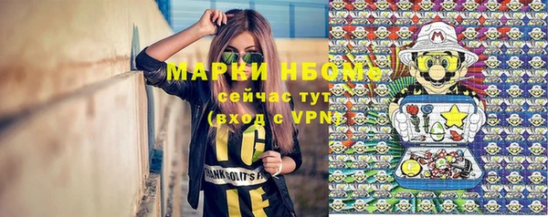 дмт Верея