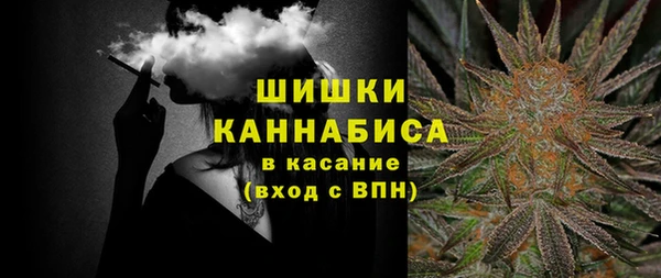 дмт Верея