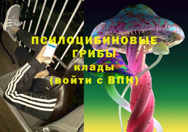 дмт Верея